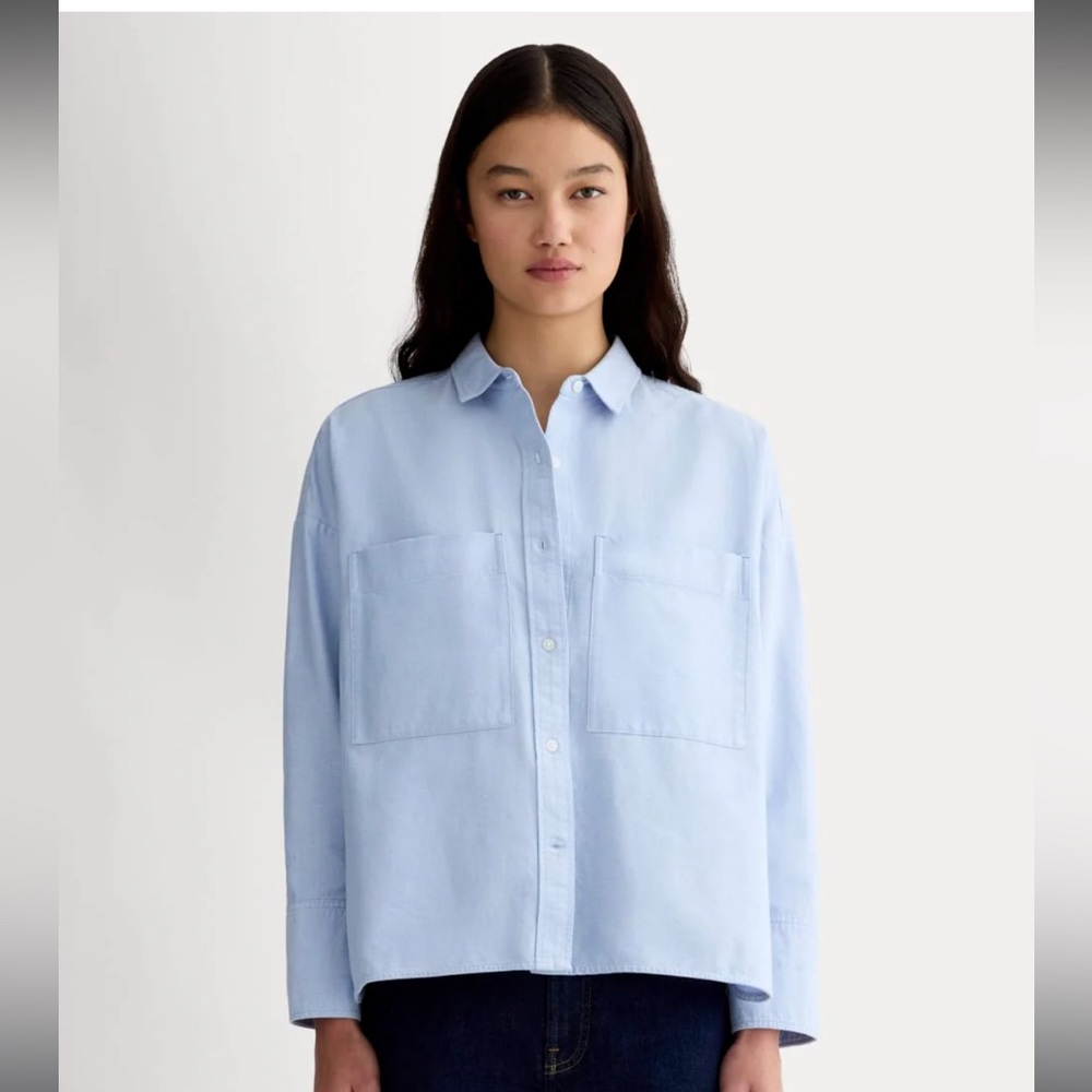 Everlane Light Blue Boxy Oxford Shirt